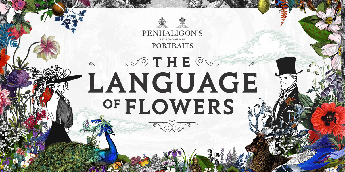 The Language of Flowers